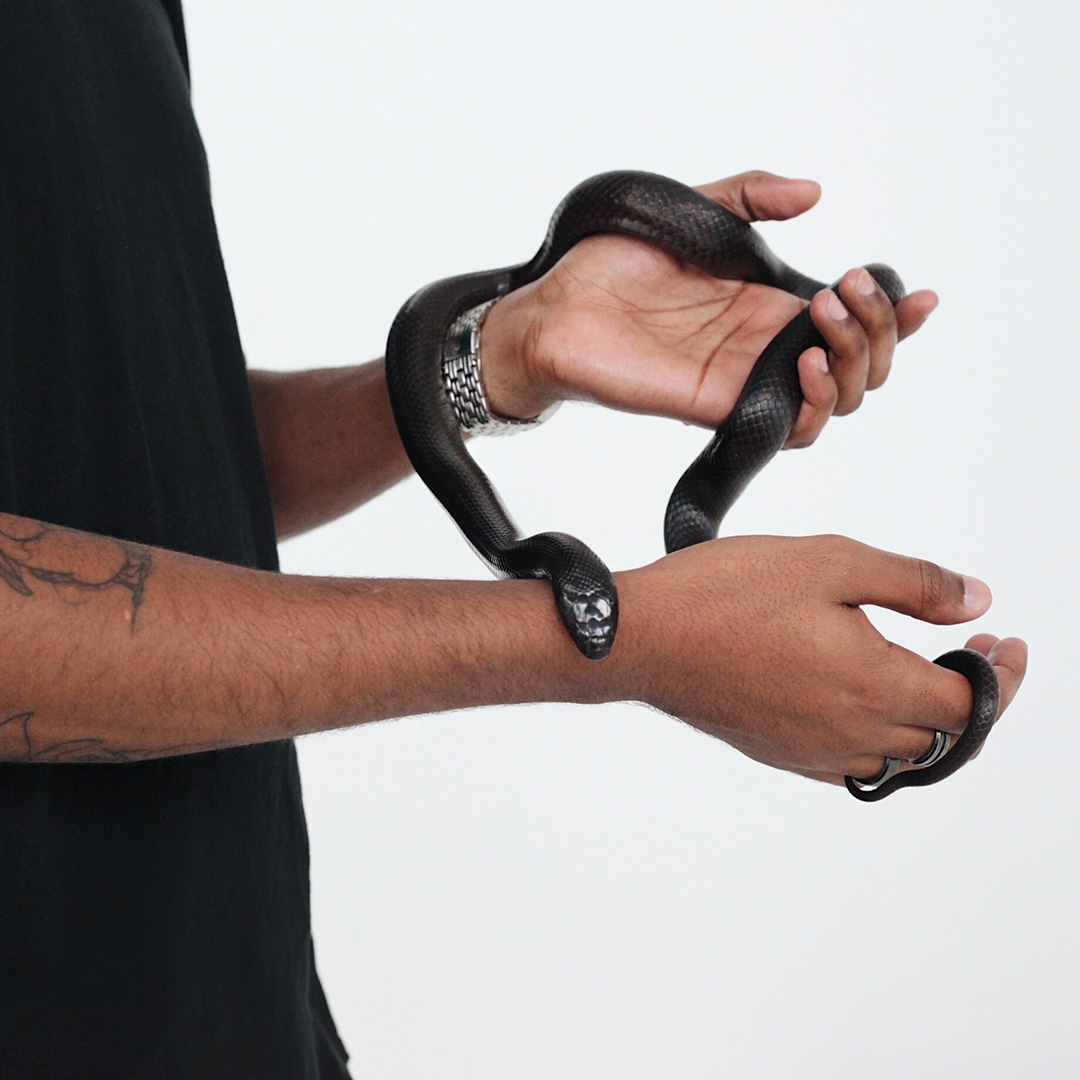 A black snake being handled by a person