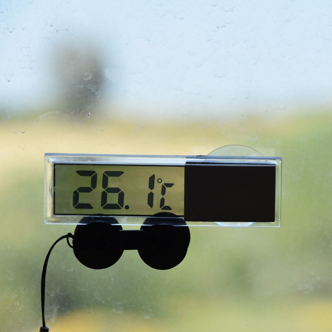 A digital thermometer on terrarium glass