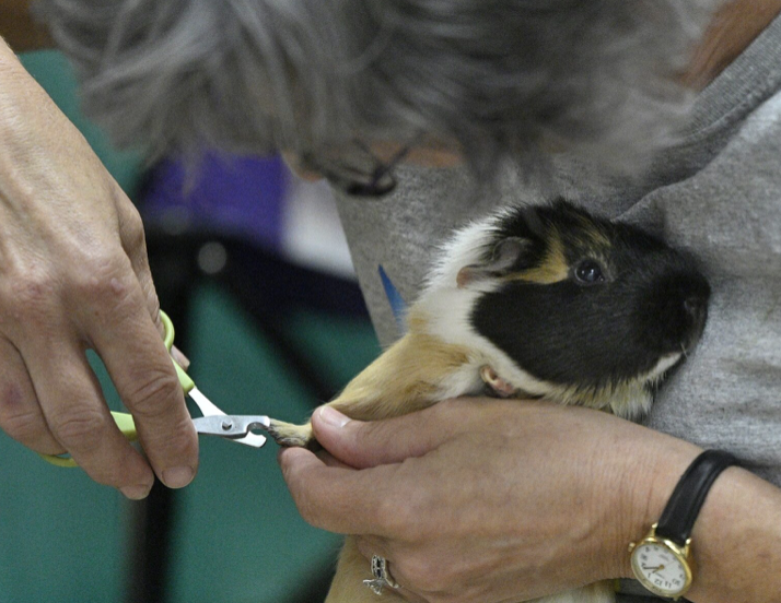 Screenshot 2025-01-23 at 2.45.15 PM